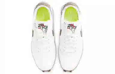 Nike Daybreak type