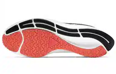 Nike Pegasus 37 Shield