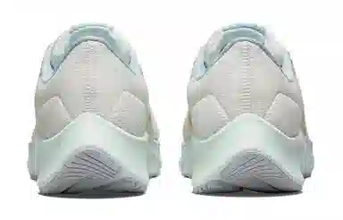 Nike Pegasus 38 premium