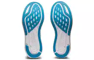 Asics EvoRide 2
