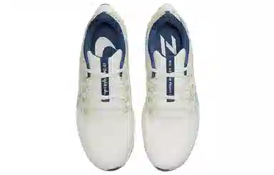 Nike Pegasus 38