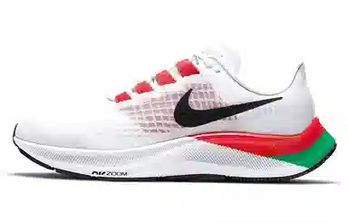 Nike Pegasus 37 Eliud Kipchoge