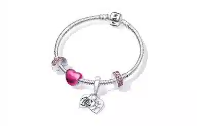 Pandora Rose Love Bracelet Set