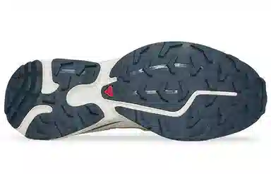SALOMON XT-6