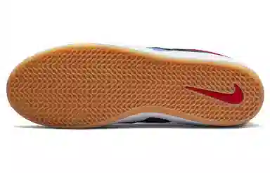 NBA x Nike SB Ishod 75