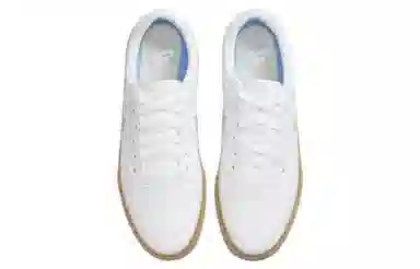 Nike SB Chron 2 CNVS