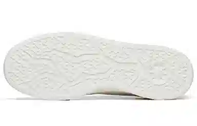 Anta