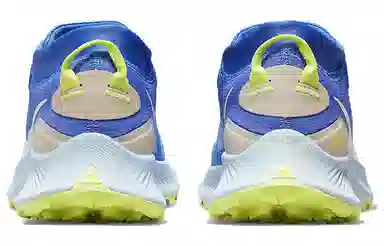 Nike Pegasus Trail 3 Gore-Tex Blue