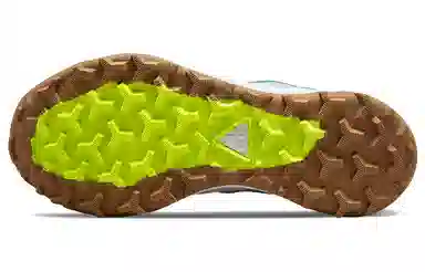 Nike ACG Lowcate Grey Green