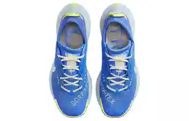 Nike Pegasus Trail 3 Gore-Tex Blue
