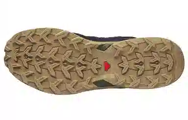 Salomon Shelter Low Leather