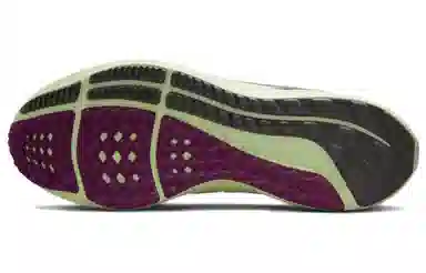 Nike Air Zoom Pegasus 39 White Green