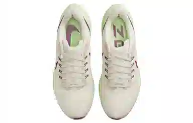 Nike Air Zoom Pegasus 39 White Green