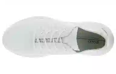 ecco Therap