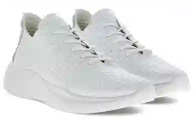 ecco Therap