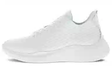 ecco Therap
