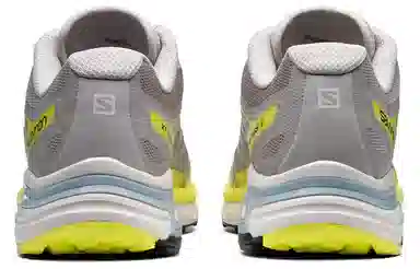 Salomon Xt-Wings 2 Rose Ashes
