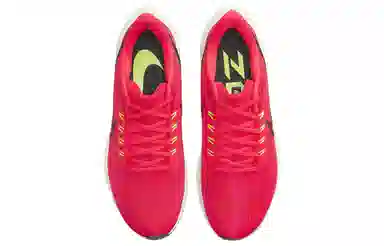 Nike Air Zoom Pegasus 39