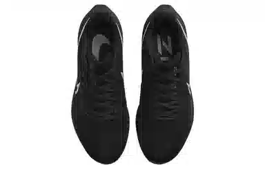 Nike Air Zoom Pegasus 39