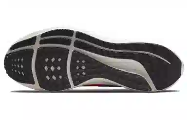 Nike Air Zoom Pegasus 39