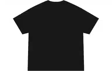 Dickies SS22 logoT