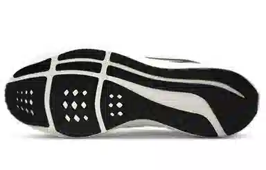 Nike Air Zoom Pegasus 39