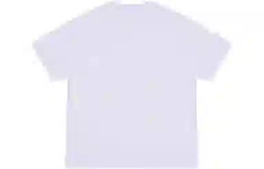 Dickies SS22 logoT