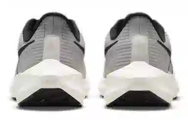 Nike Air Zoom Pegasus 39