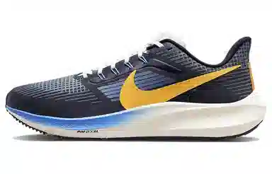 Nike Air Zoom Pegasus 39 premium