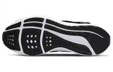 Nike Pegasus FlyEase