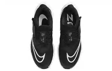 Nike Pegasus FlyEase