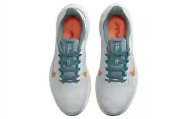 Nike Zoom Winflo 9