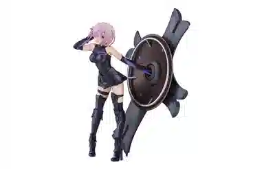 GSC conofig fgo shielder
