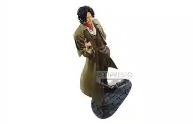 BANPRESTO D treasure cruise