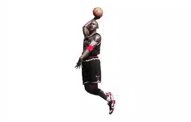 ENTERBAY 23 8 jordan
