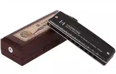 SUZUKI HA-20 Hammond( Blues 10