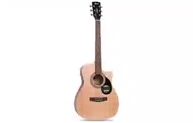 Cort AF510 40OM