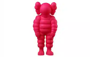 KAWS TAKYO FIRST WHAT PARTY CHUM 29cm