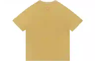 FEAROM T