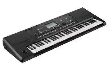 KORG PA300