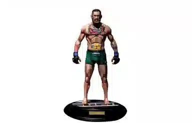 ZCWO ZC WORLD LEGEND NOTORIOUS 29cm