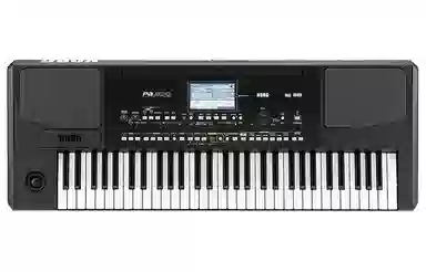 KORG PA300