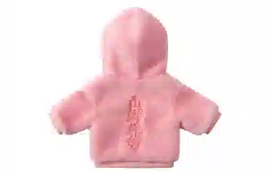 IP