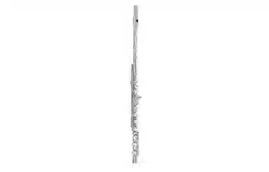 YAMAHA C YFL222YFLS2