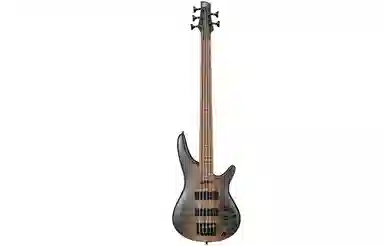 Ibanez SRBass SR500E(4SR505E(5)