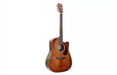 (Saga) SF800SA800 4041