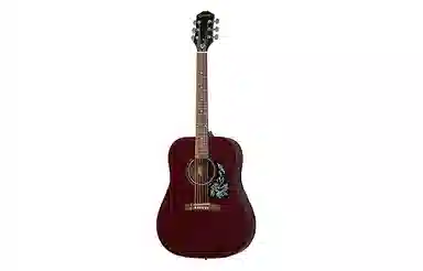 Epiphone Starling() 41D