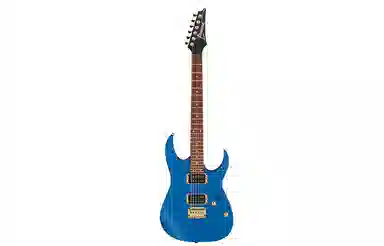Ibanez RG421 24