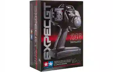 FW18 Hornet RC Car Flames