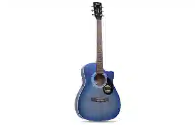Cort AF510 40OM